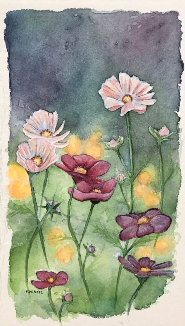 Cosmos- Original Watercolor 6.5x11